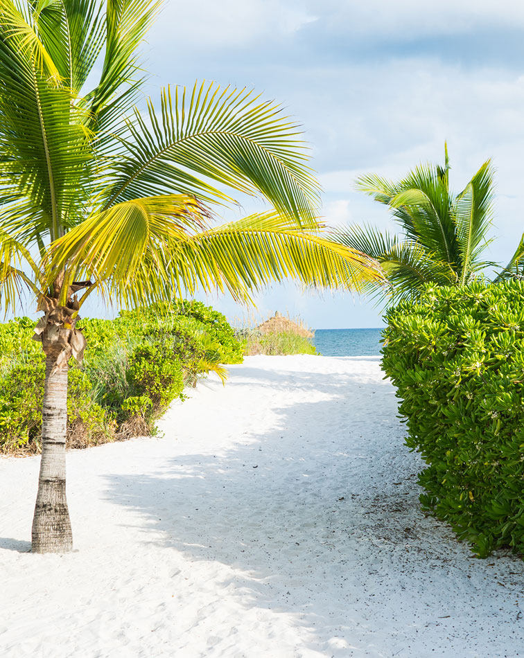 Why The Bahamas